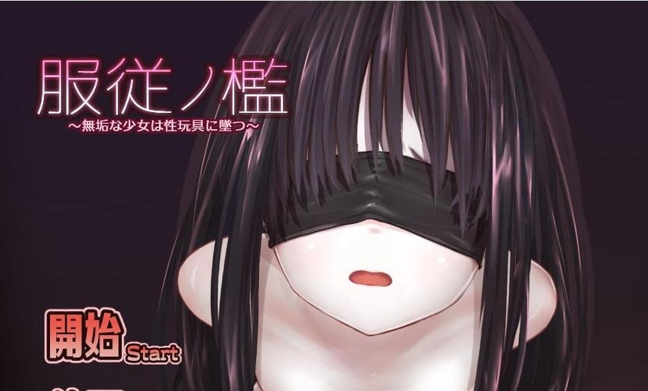 【PC/2D/SLG/中文】掉落玩偶 Drop Doll STEAM官方中文步兵版【380M】